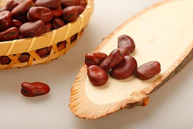 生活片段模拟游戏《Closer the Distance》8月2日发售 支持中文